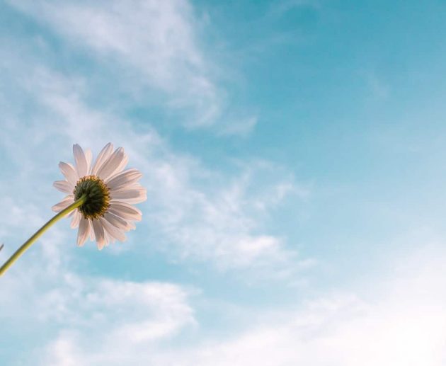 बलात्कृत